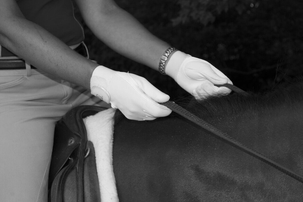 Riding your Horse with Soft Hands – J5 Equine